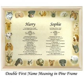Double First Name Meaning with Dogs Border background