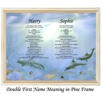 Double First Name Meaning with Dolphins background