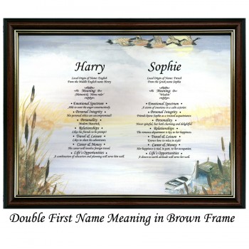 Double First Name Meaning with Geese background