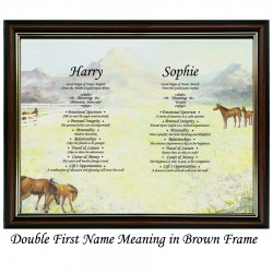 Double First Name Meaning with Horse background