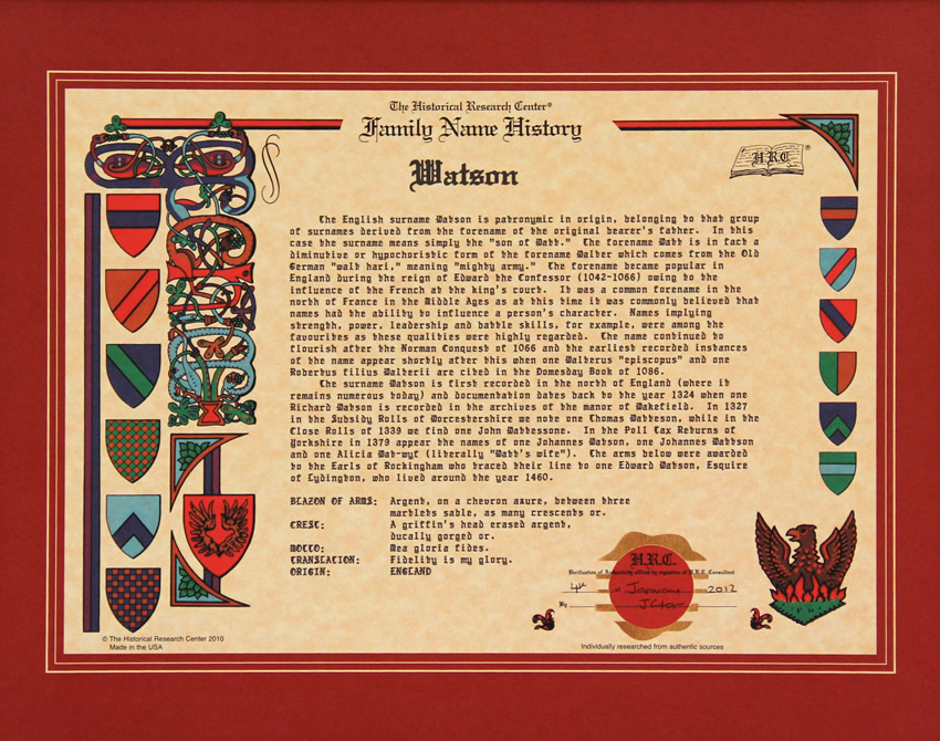 Surname History Chart